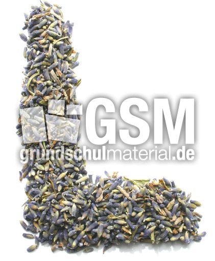 L-wie-Lavendelblüten.jpg